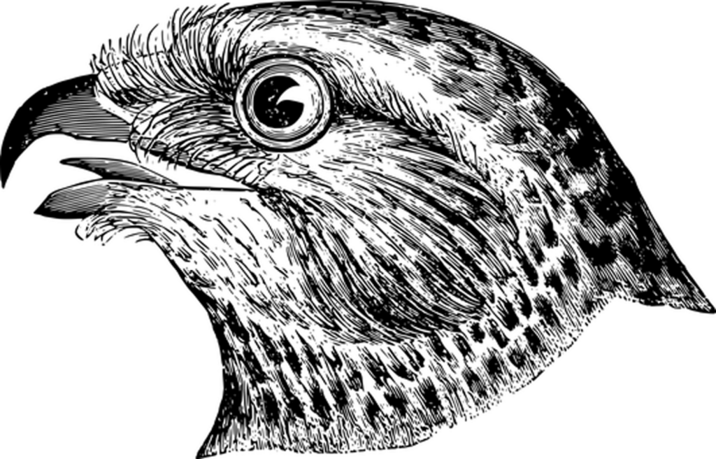 Solid Black Minimalist Wallpaper: Versatile Background for Any Device