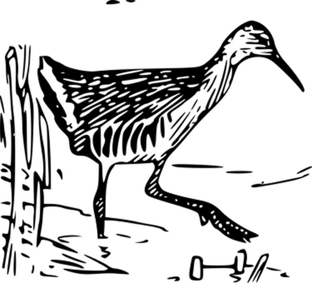 Solid Black PNG Background for Digital Design Placeholder Wallpaper