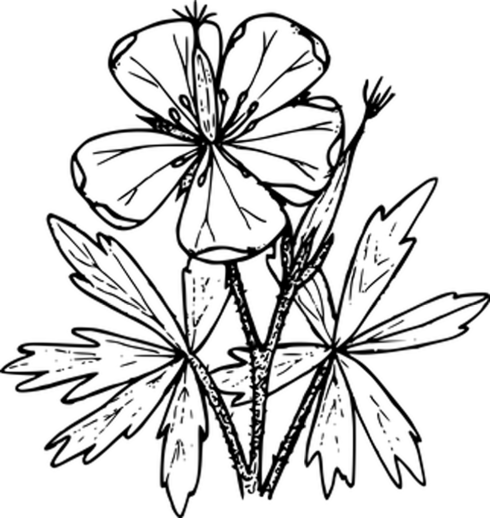 Solid Black Minimalist Wallpaper: Perfect Background for Devices
