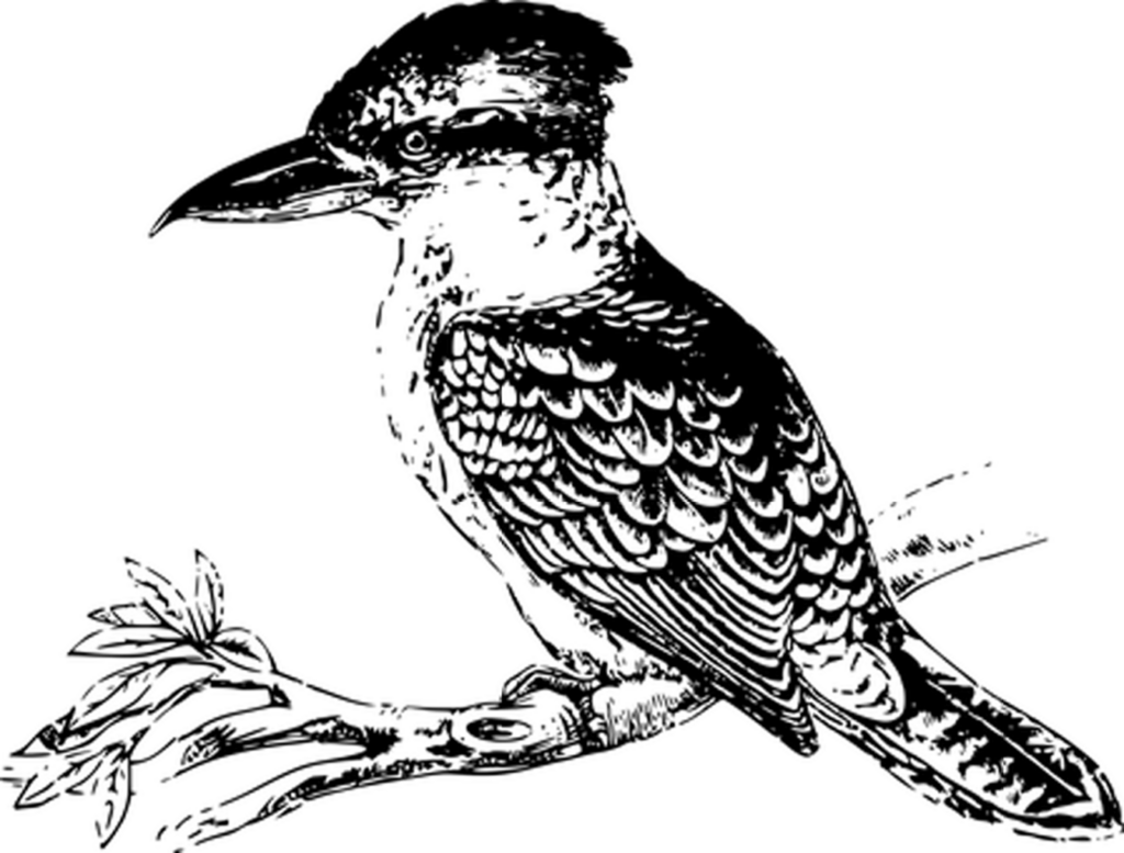 Solid Black Wallpaper - Minimalist Background for Digital Designs