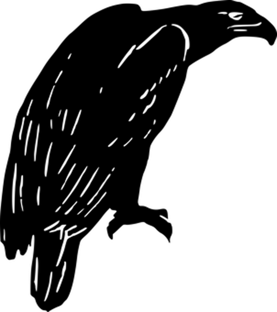 Versatile Solid Black Background for Desktop & Graphic Design Wallpaper