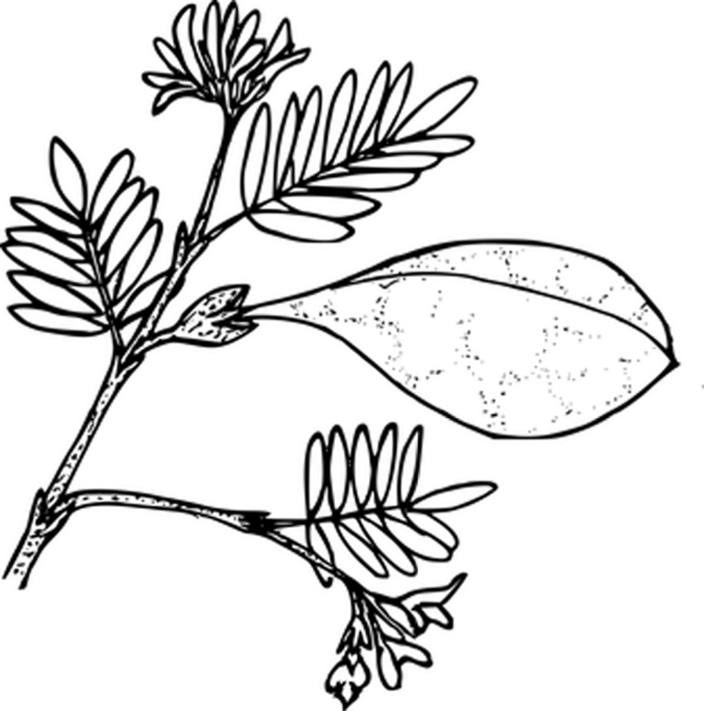Solid Black Wallpaper for a Sleek Minimalist Screen Background