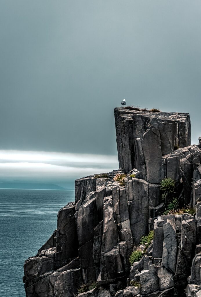 Solitary bird on rugged cliff over calm sea with overcast sky scenic nature landscape wallpaper