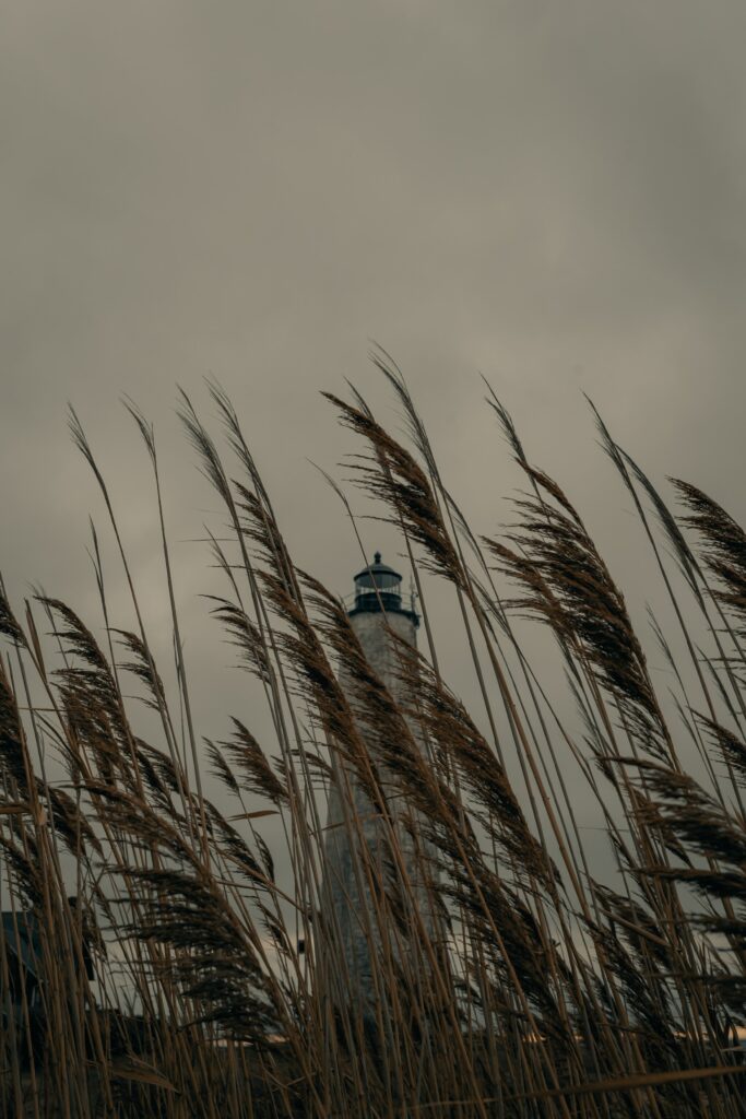 Solitary lighthouse behind swaying reeds under moody overcast sky coastal wallpaper background