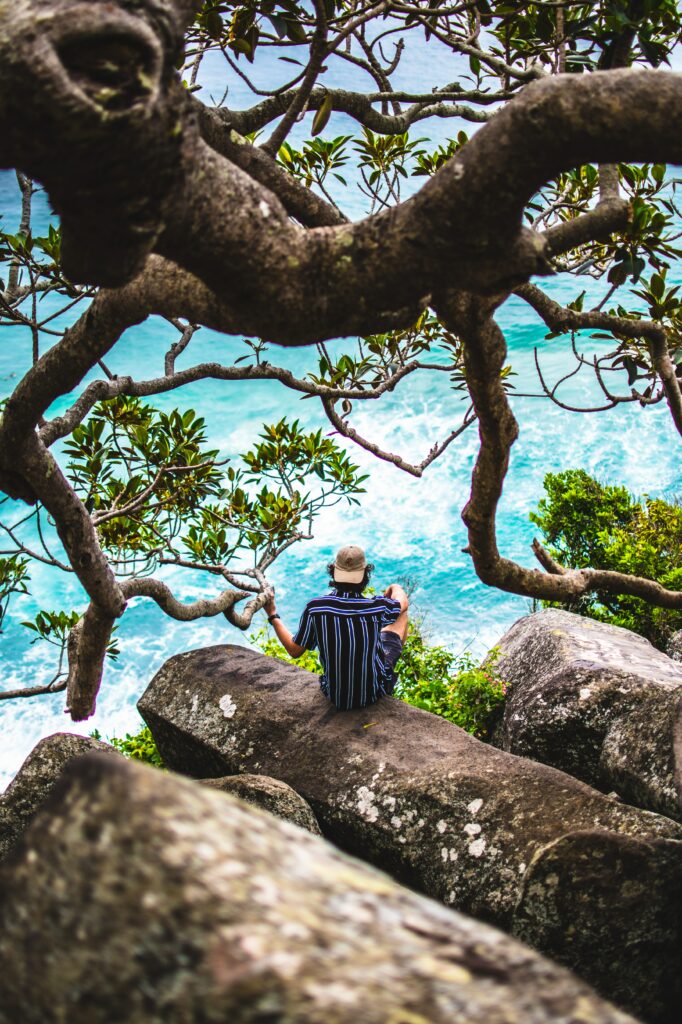 Man sitting on rugged rocks by blue sea under twisting tree branches peaceful reflection wallpaper