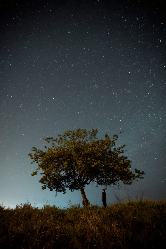 Solitary man beneath sprawling tree at night under starry sky with tall grass serene nature scene Wallpaper