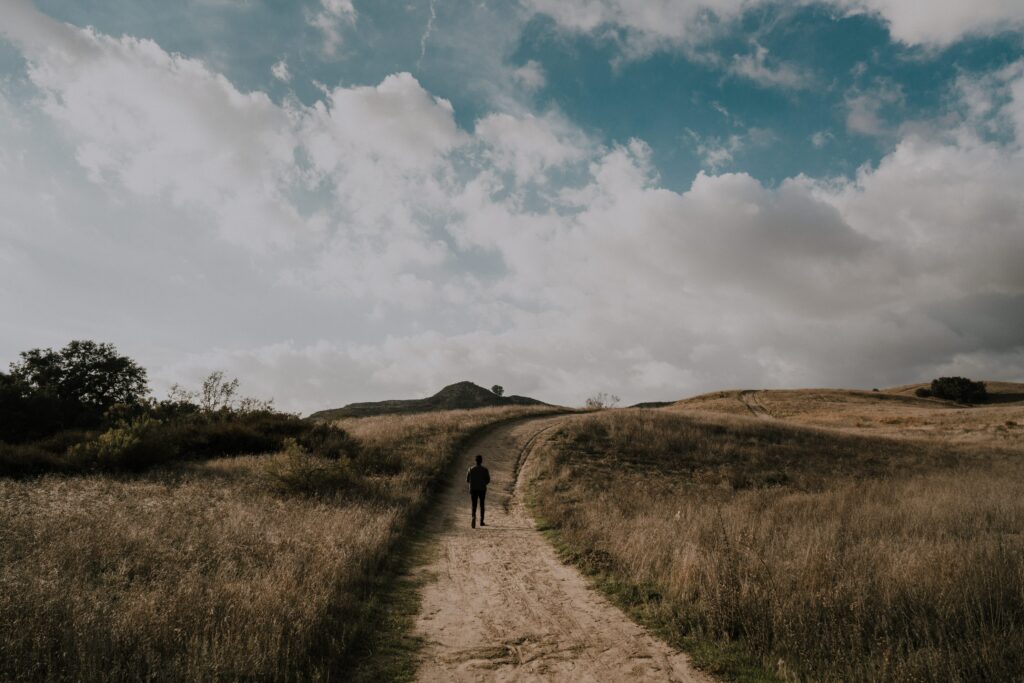 Solitary man walking winding dirt path through golden grass under dramatic textured sky wallpaper