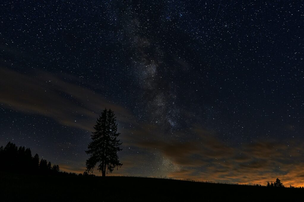 Solitary spruce tree under starry night sky with Milky Way and soft clouds wallpaper background