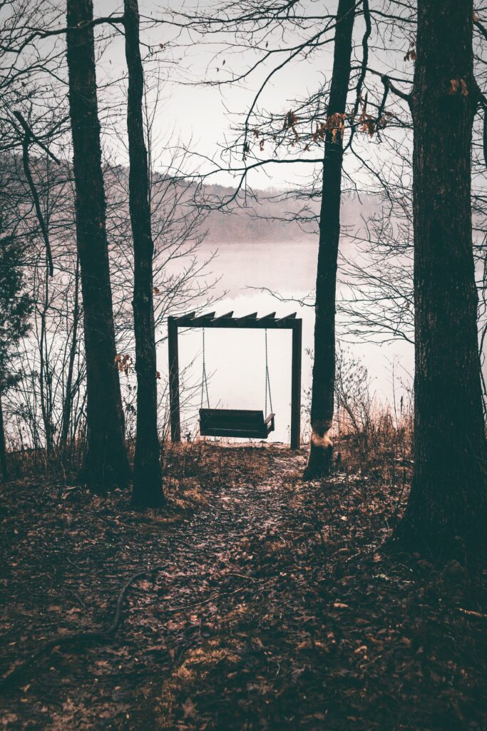 Solitary swing between bare trees by misty autumn lakeside with peaceful fall foliage wallpaper