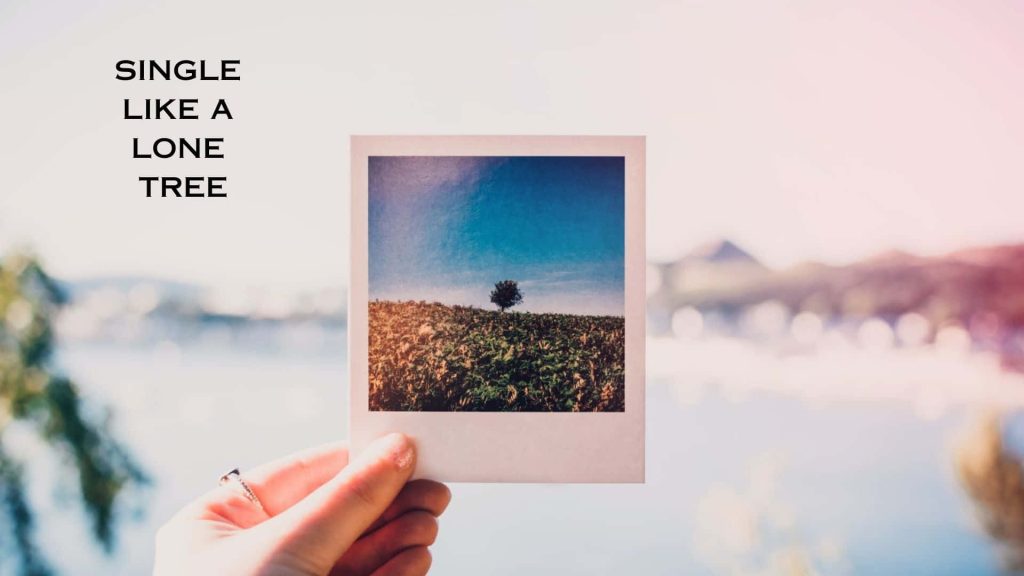 Hand holding instant photo of solitary tree in vast field under blue sky minimalist wallpaper