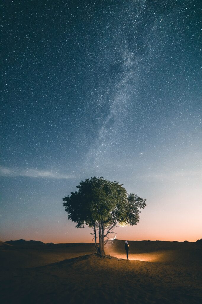 Lone tree silhouette under starry night sky with person and glowing base light wallpaper background