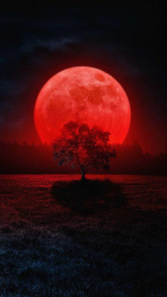 Solitary Tree Under Blood Moon | Dramatic Wallpaper Background