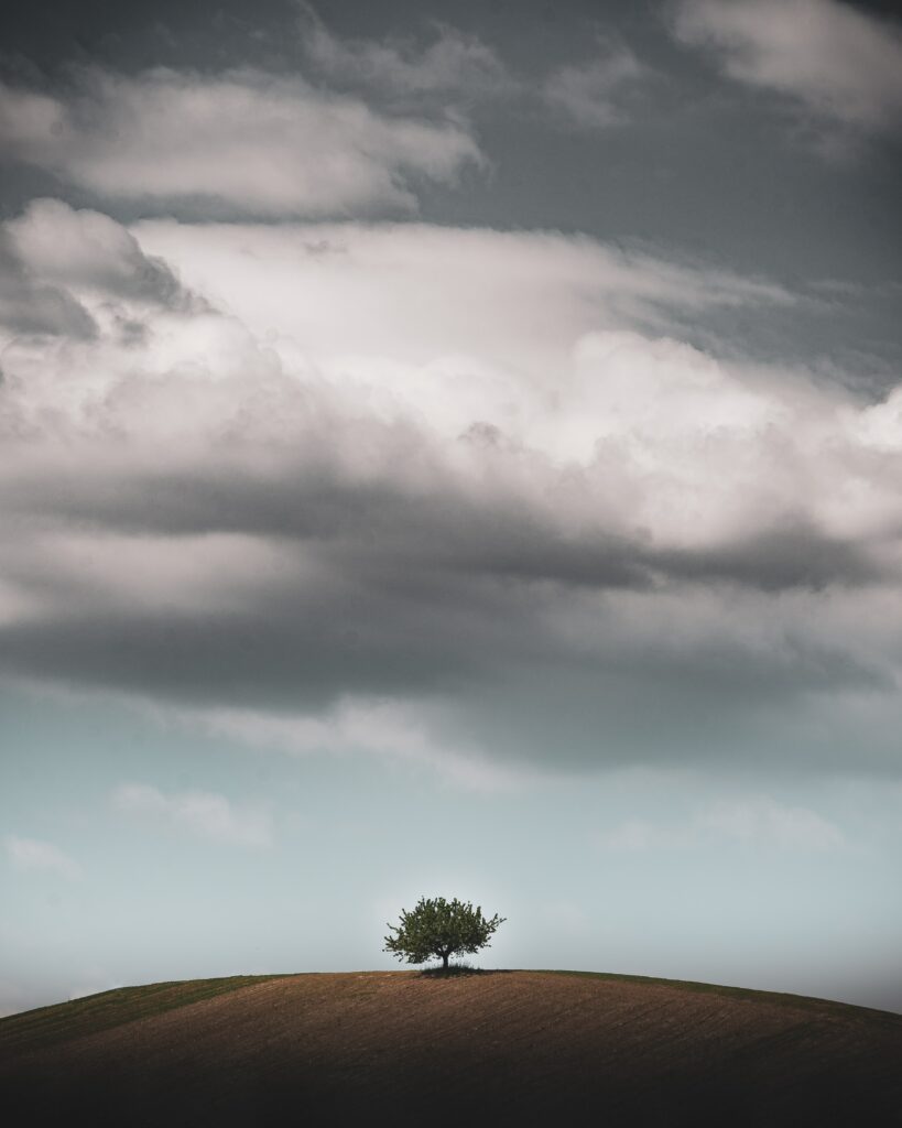 Solitary tree on hill under dramatic cloudy sky serene nature landscape wallpaper background
