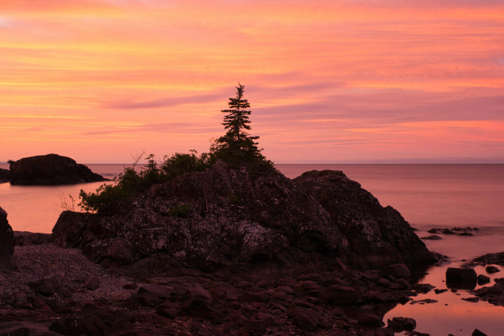 Solitary tree on rocky outcrop surrounded by water under golden pink sunset sky nature wallpaper