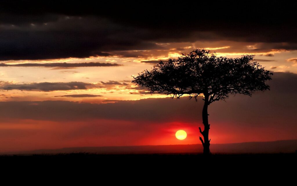 Solitary tree on vast savanna at vibrant sunset sky with red orange and gold hues wallpaper