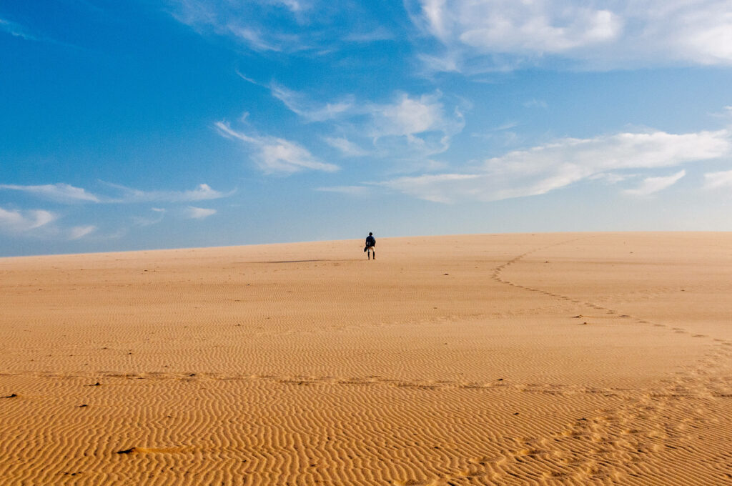Loneliness Amidst Desert Splendor Wallpaper