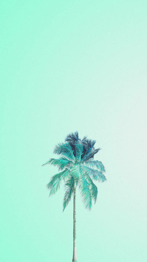 Solitary Palm: Capturing Serenity amidst Pastel Isolation Wallpaper