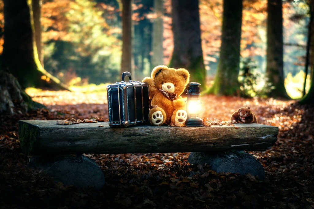 Solitary Sweethearts: Adorable Teddy Bears Find Solace in the Enchanting Forest Wallpaper