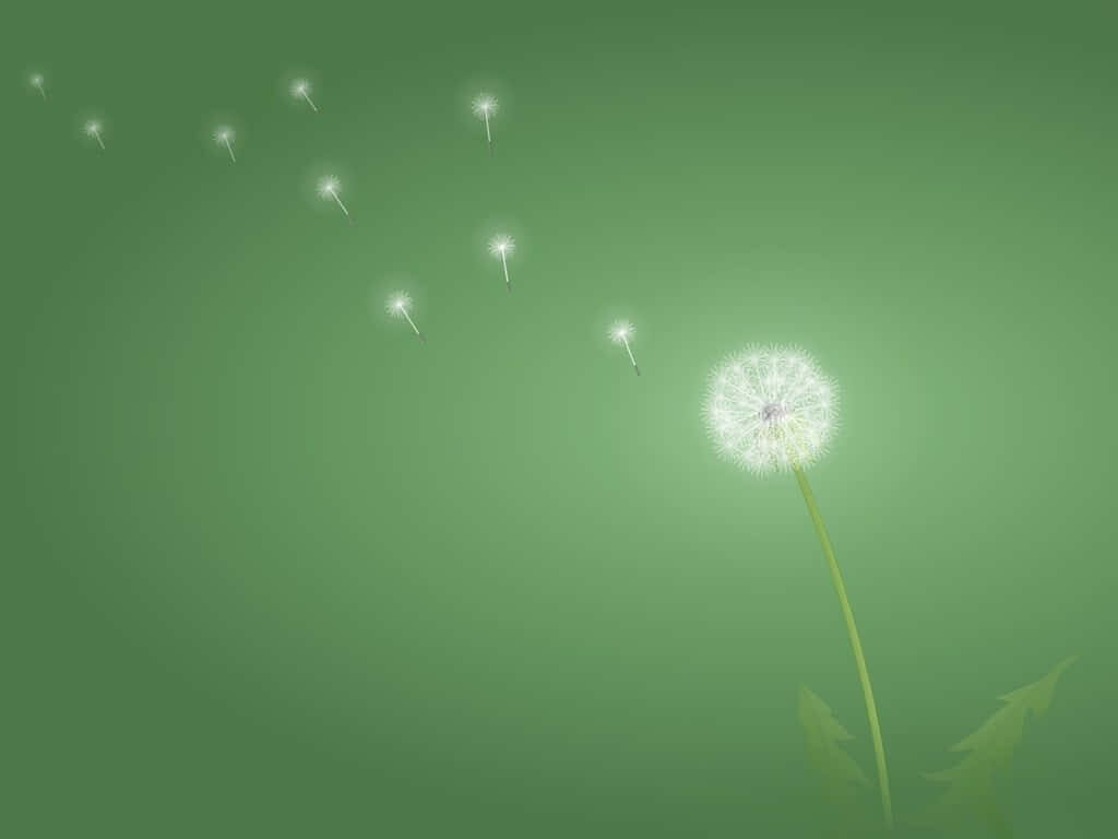Tranquil Green Dandelion Wallpaper: Minimalist Nature Design