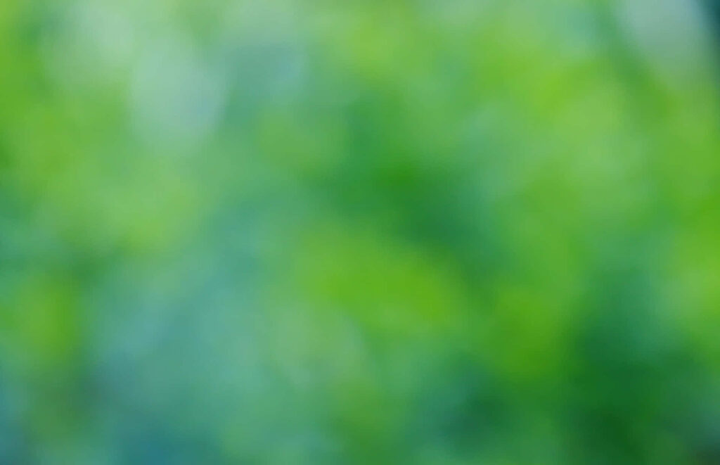 Calming Green Background Wallpaper for Virtual Meetings