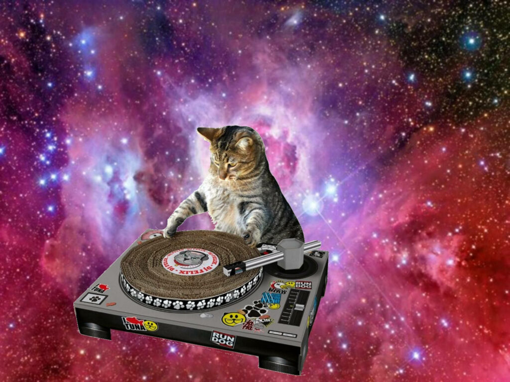 Feline Beats: Cosmic DJ Spinning Hilarious Tunes Wallpaper