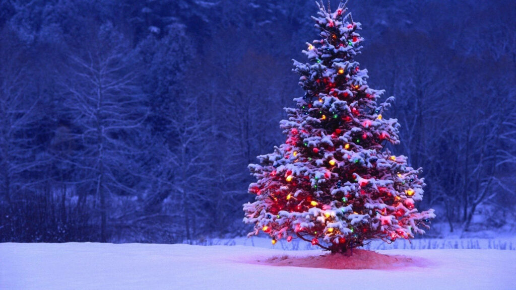 Snow-covered Christmas tree with colorful lights in a twilight winter forest festive wallpaper background