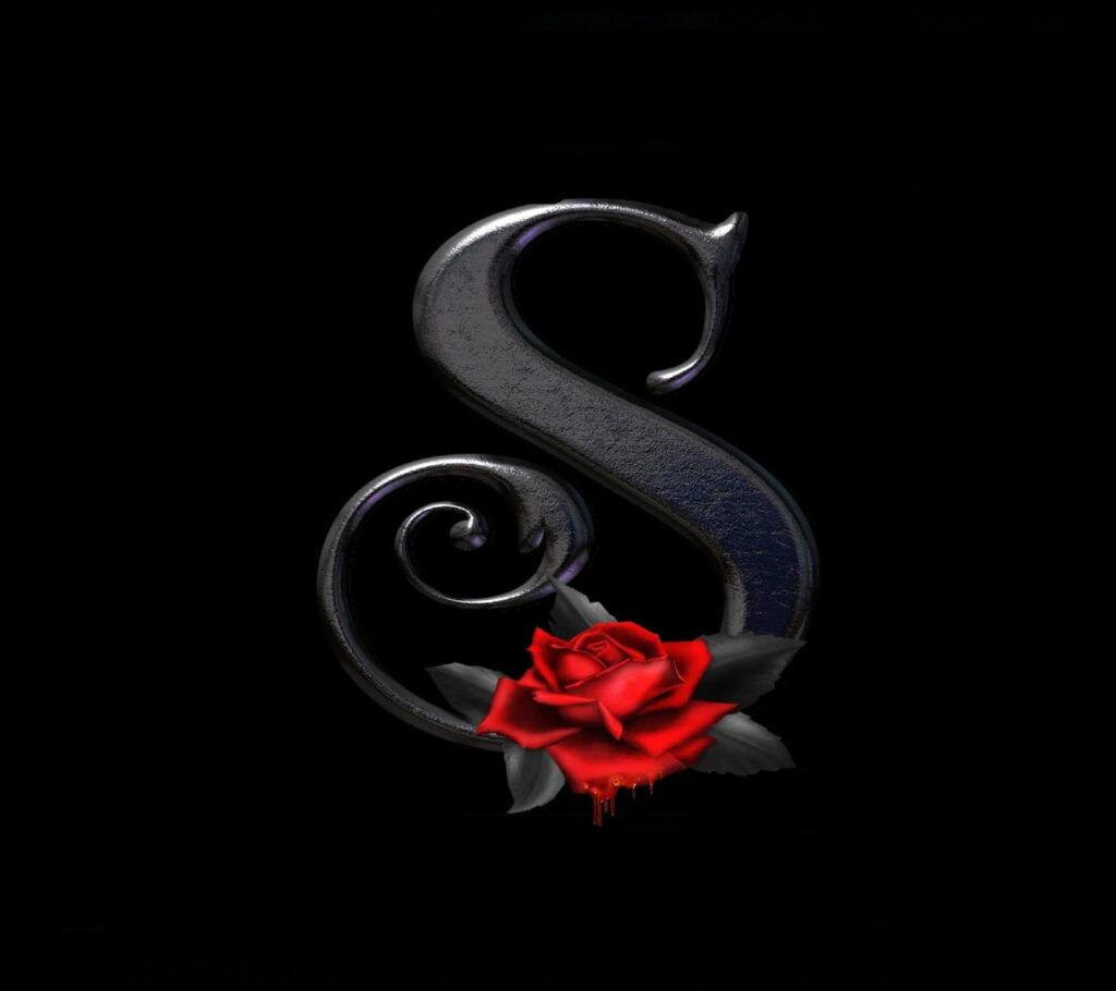 Sensational S: A Stunning HD Wallpaper featuring a Rose in the Spotlight