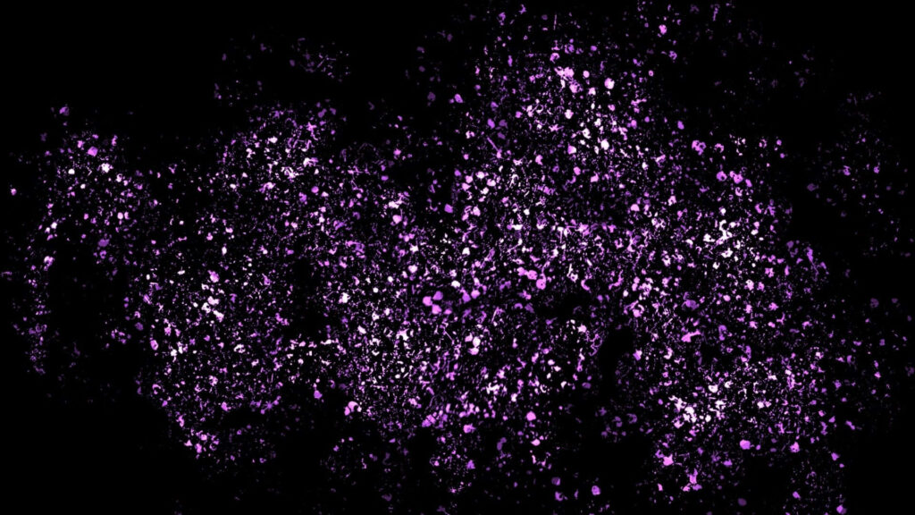 Immerse Yourself in a Kaleidoscope of Purple Glitter: Uncover a Dazzling Spectrum of Mesmerizing Brilliance Wallpaper