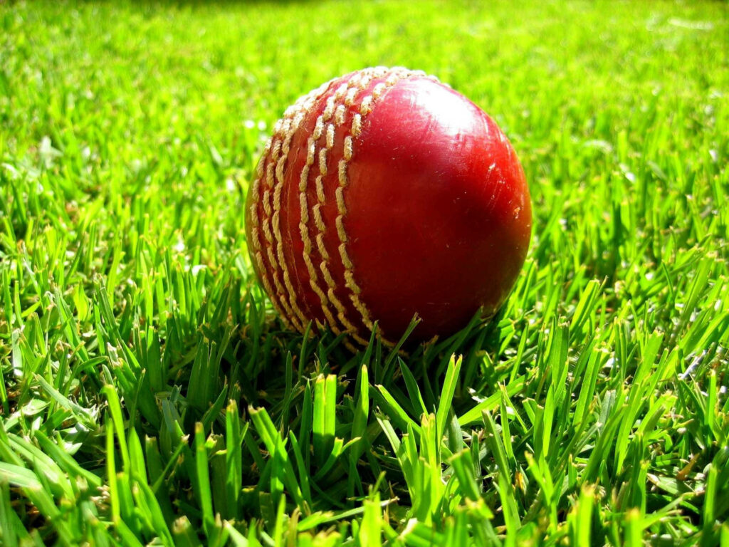 Sunny Showcase: Vibrant Green Cricket Ground featuring Red Kookaburras on a Lush Grass Field Wallpaper