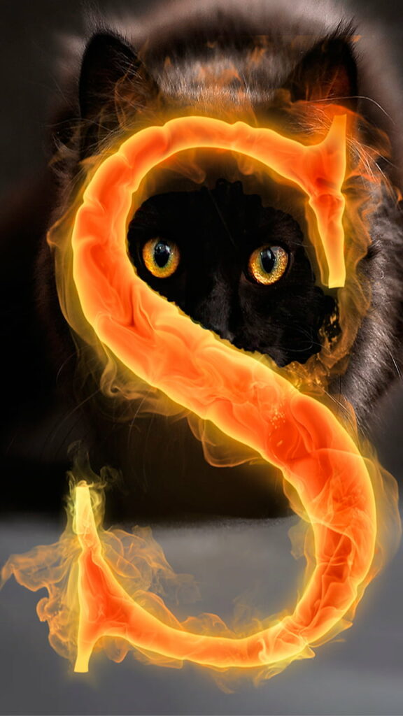 Sizzling Siamese: A Fiery Feline Alphabet Adventure in HD Phone Wallpaper Background