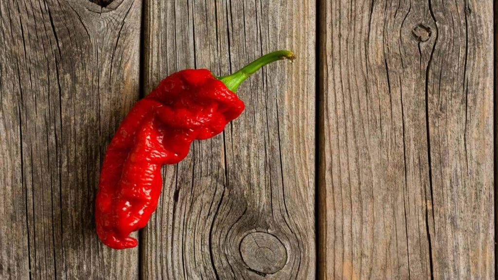 Vibrant ghost pepper chili on rustic wood background crispy organic texture wallpaper