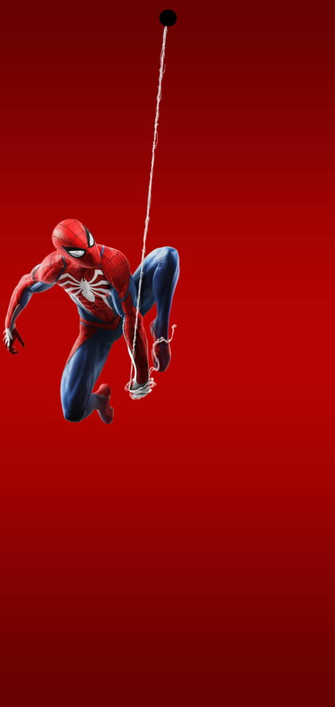 Spiderman clinging to web on bold red background HD phone wallpaper with dot notch design