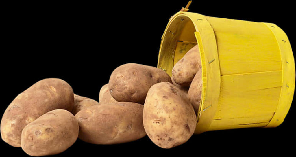 Rustic Wallpaper: Spilled Fresh Potatoes from Yellow Bucket