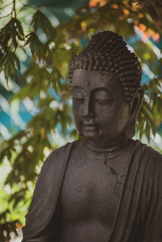 The Serene Symbol: A Bronze Buddha Embodying Spiritual Virtues Amidst a Tranquil Grove Wallpaper