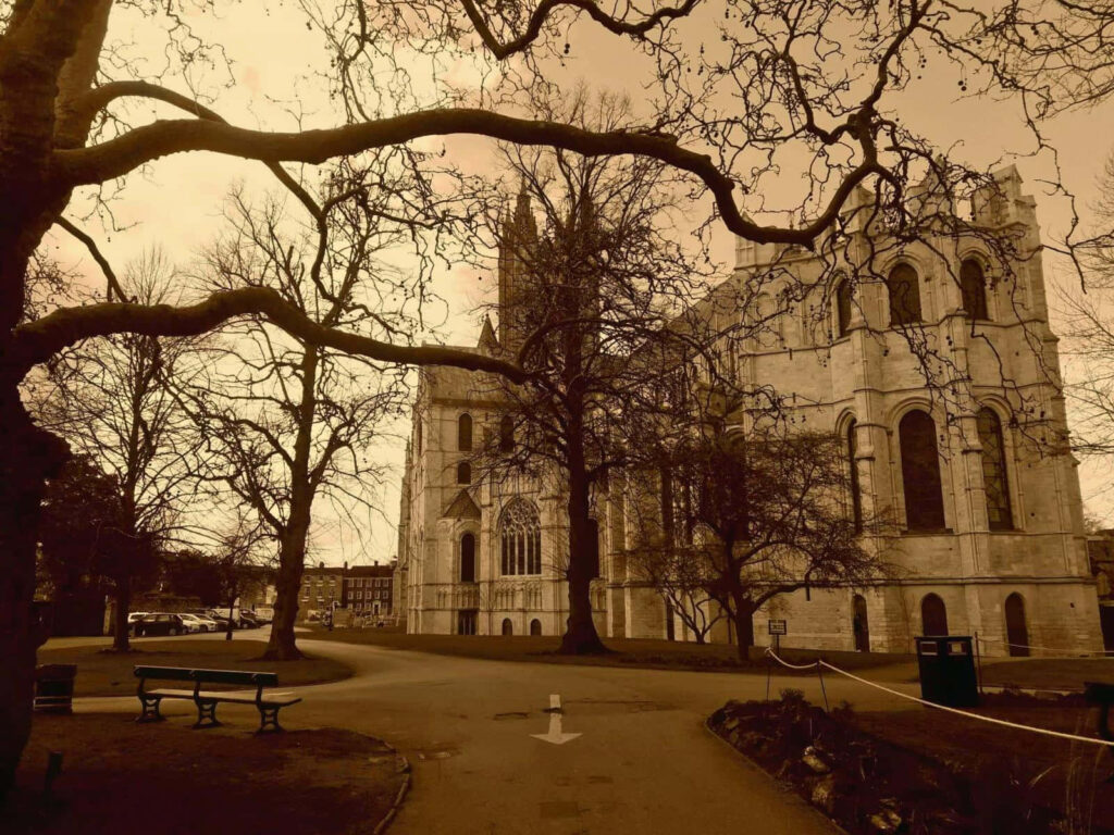 Spooky sepia-toned Canterbury Cathedral wallpaper with bare twisted trees and Gothic architecture