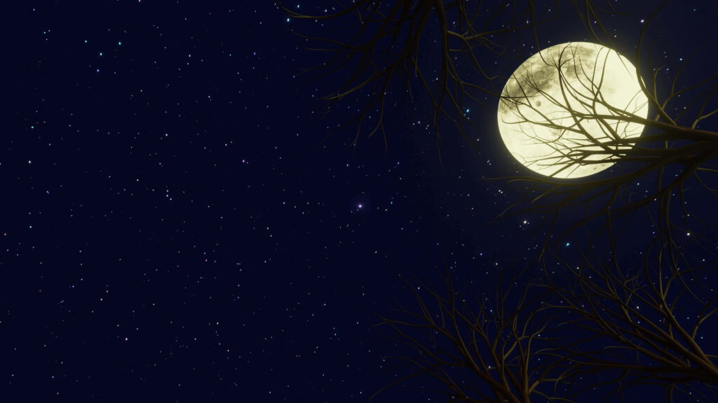 Spooky Tree Wallpaper: Haunting Moonlit Night Sky & Stars