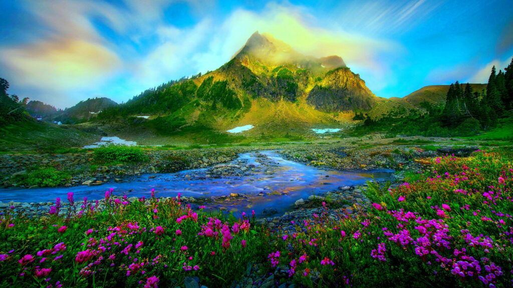 Purple wildflowers along a clear alpine stream with sunlit mountain peak in spring landscape Wallpaper