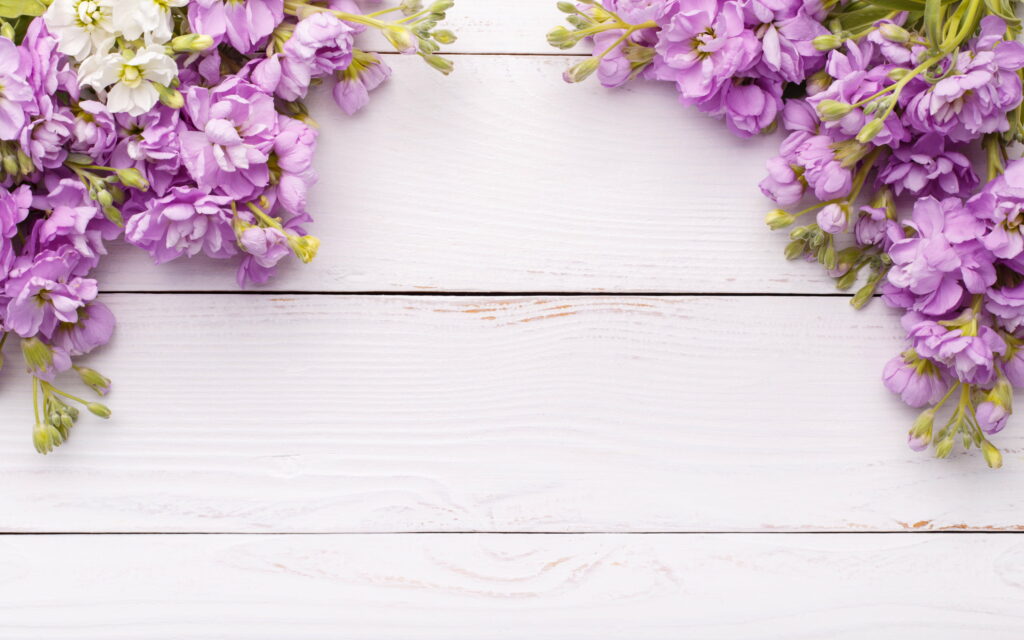 Springtime Splendor: The Ethereal Purple Blossoms Embracing a White Wooden Canvas Wallpaper