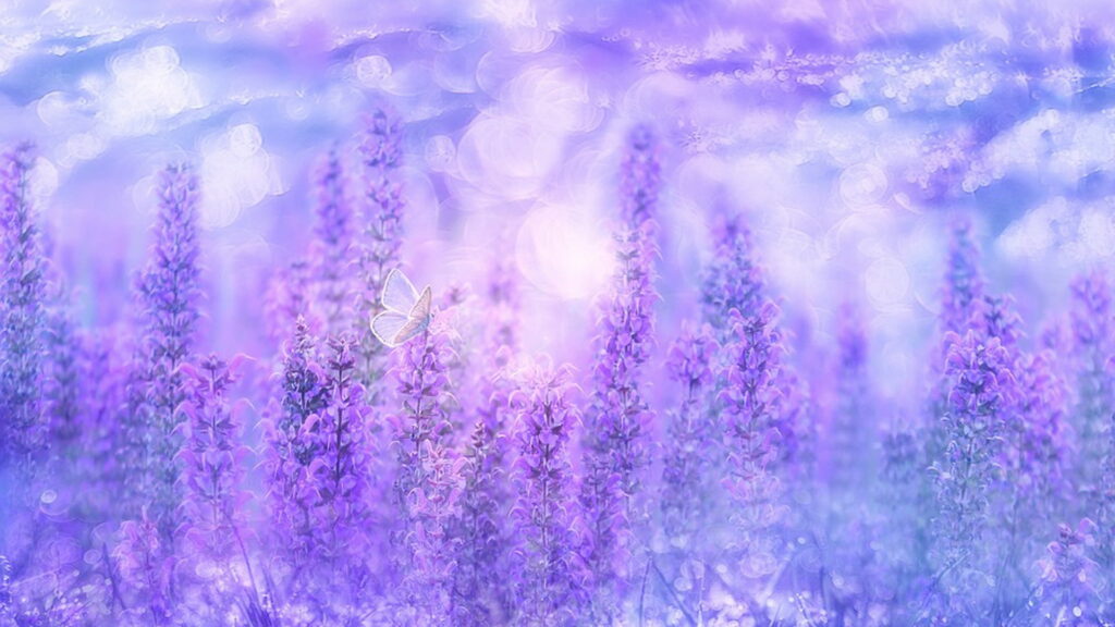 Spring Blooms: A Lavender Watercolor Delight in HD Wallpaper