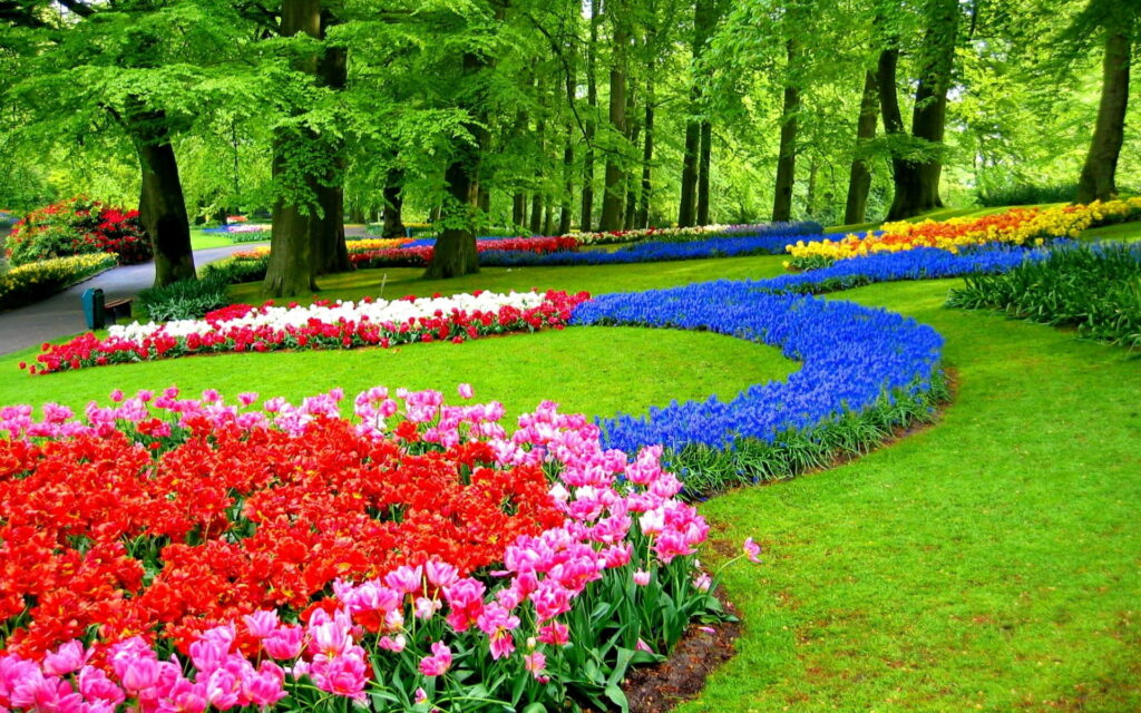Keukenhof Gardens: A Burst of Spring Colors in the Netherlands Wallpaper