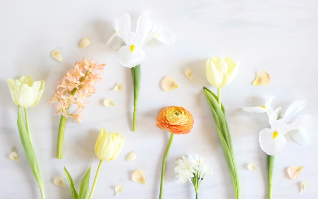 Minimalist Spring Wallpaper: Elegant Flower Arrangement for Tranquil Decor