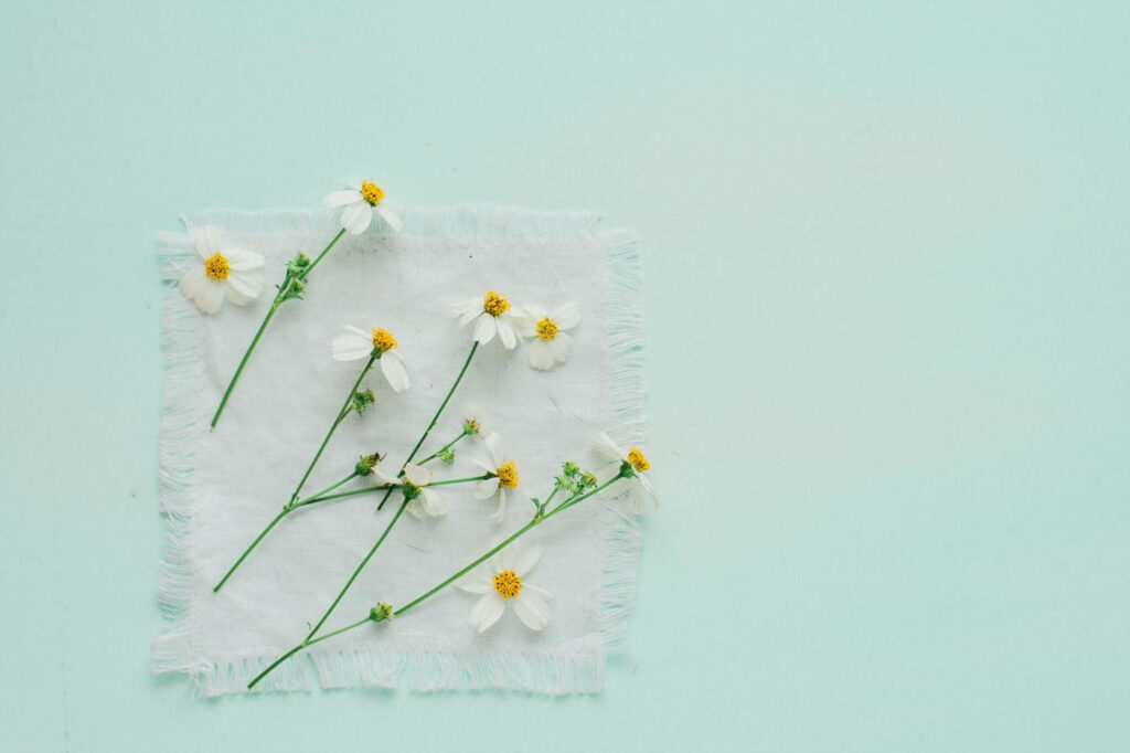Spring Minimalist Wallpaper: Delicate White Flowers on Aqua Background