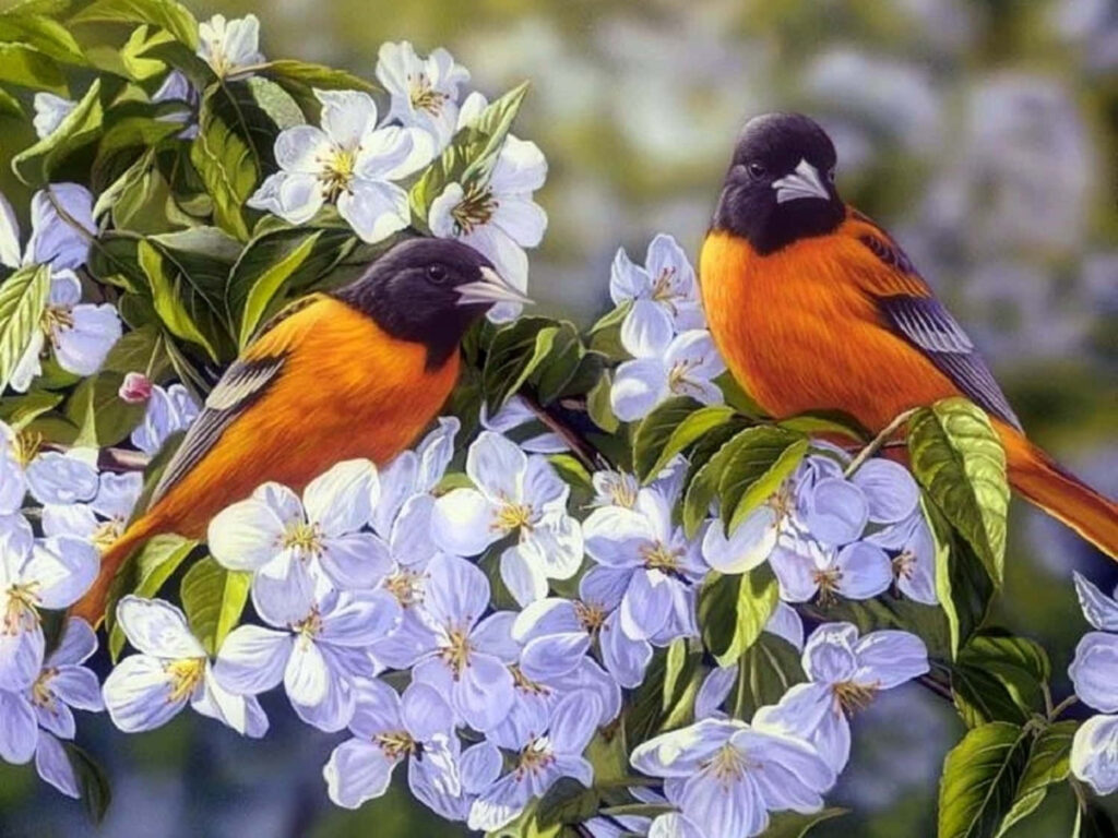 “Chirpy Spring Morning Wallpaper with Vibrant Birds and Blossoms”
