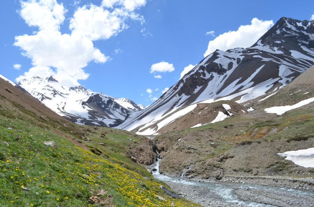 Snow-capped mountains over green valley with yellow flowers and clear stream under blue sky Wallpaper