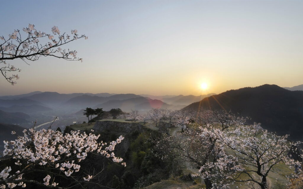 Blossoming Dawn: Captivating Spring Palette in High-Definition Wallpaper