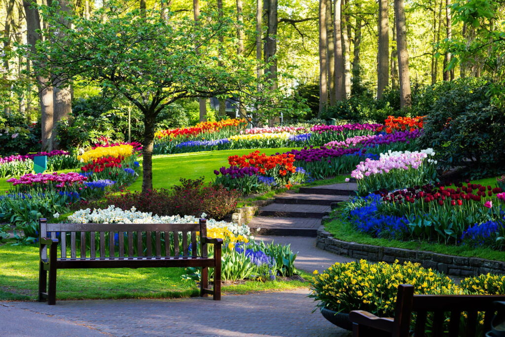 Springtime Bliss: A Colorful Walk through Keukenhof Gardens, Resting on a Beautiful Bench amidst Freshness and a Sea of Tulips Wallpaper