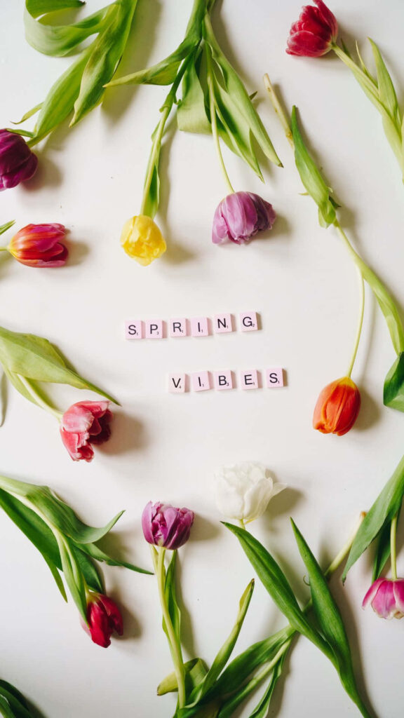 Colorful Tulip Wallpaper with 'Spring Vibes' for iPhone Background