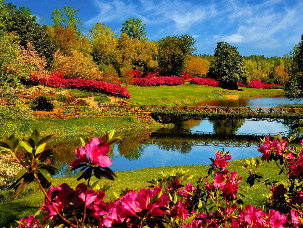 Nature's Emerald Symphony: Breathtaking Spring Landscape in HD Wallpaper