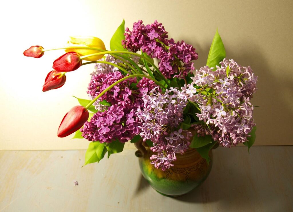 Springtime Elegance: Vibrant Lilacs & Tulips Wallpaper Background