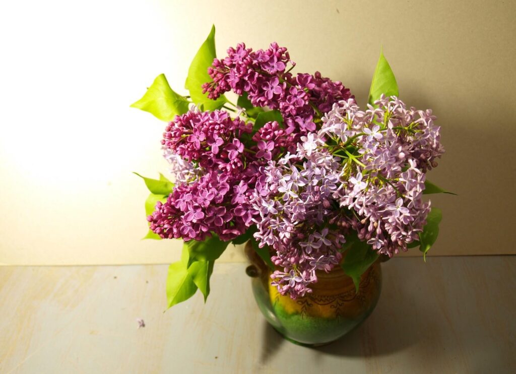 Vibrant Lilac Bouquet Wallpaper: Springtime Floral Background Decor
